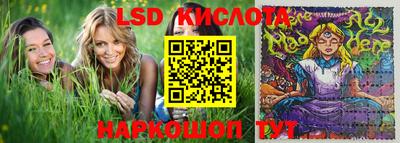прущие грибы Обнинск