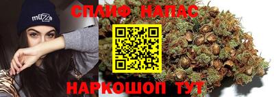 мдпв Обь