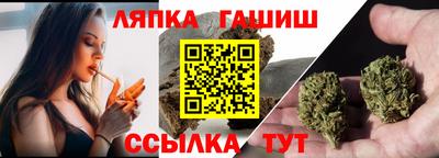 прущие грибы Обнинск