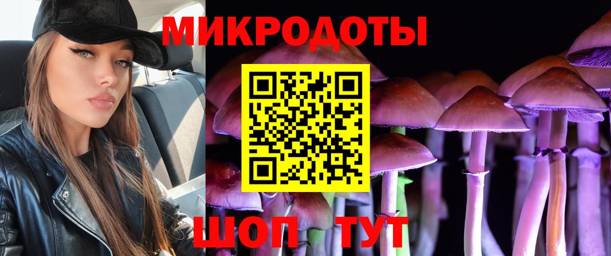 Усть-Джегута  Псилоцибиновые грибы MAGIC MUSHROOMS  Вход с VPN 